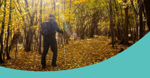 Télécharger le calendrier des jours de chasse et le guide des bonnes pratiques 2023/2024